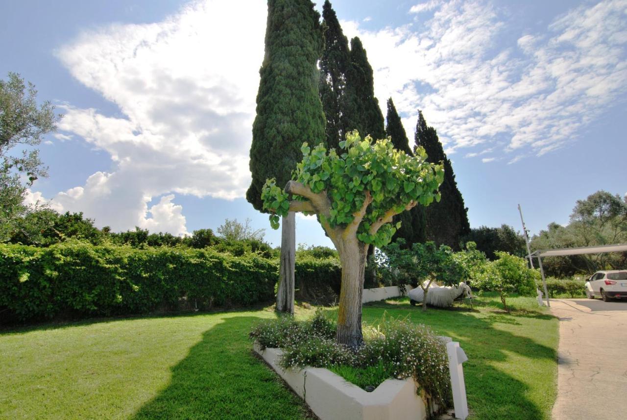Cypress Garden Villas 斯沃伦塔 外观 照片